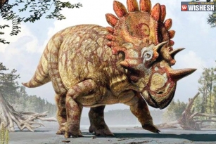 Dinosaurs not extinct, here is the proof!