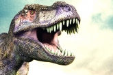 Animal Jokes, Jokes, dinosaurs or human beings who are sadists, Human beings
