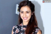 Disha Patani news, Sundar C, disha patani replaces shruti haasan, Loafer