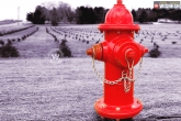 Weird facts, Unbelievable facts, do you know who invented fire hydrant, Unbelievable facts