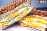 Breakfast, food, egg and cheddar cheese sandwich recipe, Breakfast