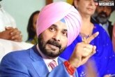 Navjot Singh Sidhu comments on PM Modi, Navjot Singh Sidhu comments on PM Modi, election commission issues notice to congress leader navjot singh sidhu over objectionable comments against pm modi, Notice