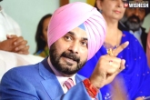 election commission, sidhu, election commission issues notice to congress leader navjot singh sidhu over objectionable comments against pm modi, Navjot singh sidhu