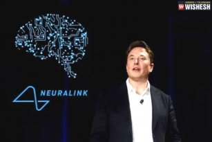 Elon Musk's Neuralink Gets FDA Approval