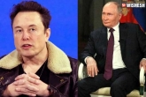 Elon Musk Vladimir Putin, Elon Musk latest updates, elon musk s sensational predictions on vladimir putin, Tweet