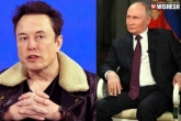 Elon Musk about Putin, Elon Musk breaking news, elon musk s sensational predictions on vladimir putin, Ad revenue