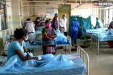 Eluru mystery illness latest, Eluru mystery illness deaths, eluru mystery illness 100 people still in the hospital, Situation at ou