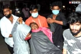 Eluru mystery illness, Eluru mystery illness deaths, centre forms team for eluru mystery illness, Eluru