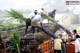 Ethanol blending, Ethanol blending, 10 ethanol blending mandatory a boon to sugar mills, Sugar mills
