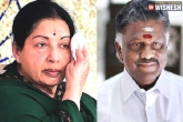 allotment, portfolios, ex cm panneerselvam alloted all jayalalithaa portfolios, Ch vidyasagar rao