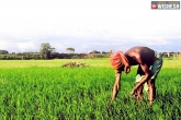 Telangana government, Farmer investment support scheme, telangana government initiates farmer investment support scheme, Srinivas reddy