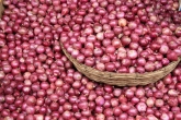 Onions 100 kg Rs. 1 Pune farmer, Pune news, farmer earns rs 1 for 100 kg onions, Onions