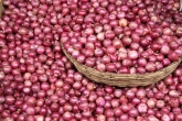 Pune news, India news, farmer earns rs 1 for 100 kg onions, Onions