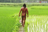 bare farmer, Subal farmer naked, viral farmer naked since 40 years, Naked