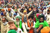 Farmers Protest updates, Farmers Protest, farmers protest reaches 17th day, Indian new farm laws