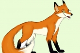 Funny Jokes, Funny Jokes, fox loves pawan kalyan, Loves