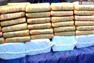 Special Task Force To Curb Ganja In Vizag