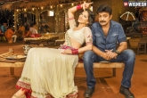 Rajasekhar, PSV Garuda Vega latest, psv garuda vega two weeks collections, Pooja kumar