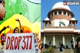 Section 377, Gay sex news, gay sex is not a crime supreme court, Crime