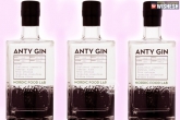 Ants gin, Weird facts, gin prepared with ants, Weird facts