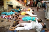 Godavari Pushkaraalu in AP, Godavari Pushkaraalu deaths, 17 people died in ap pushkarams, Ap pushkaraalu