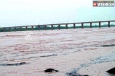 rises, water, water level rises in river godavari, Bhadrachalam