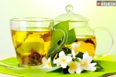 Oral Cancer, Green Tea, green tea to kill oral cancer cells, Green tea