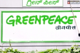 Facebook, Greenpeace, greenpeace alleged for coverup of rape and sexual assault, Peace