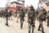 Gunfight, Gunfight, gunfight between security forces and terrorists in jammu 1 terrorist killed, Security forces
