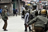 protest, security forces operation, gunfight in kashmir 3 let militants killed, Gunfight