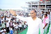 Telangana, Harish Rao news, a village that unanimously decided to vote for harish rao, Up village