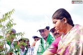 KCR, KCR, harithaharam was officially launched in telangana, Harithaharam