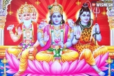 Kurma Purana, Vamana Purana, hindu puranas light of knowledge, Havish