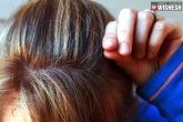 Ayurvedic Home Remedies For Premature Graying Of Hair, Ayurvedic Home Remedies For Premature Graying Of Hair, the 10 best ayurvedic home remedies for premature graying of hair, Remedies
