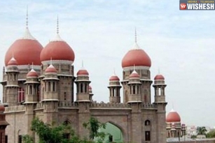 Hyderabad HC Asks AP Govt About Politicians Who Participated In Cockfights
