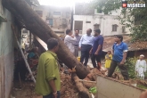 GHMC, Hyderabad rains, 162 trees in hyderabad uprooted due to heavy rains, Trees