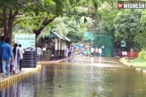 rain, flood, hyderabad zoo enclosure submerge animals fall sick, Sick