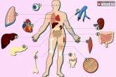 death, Hyderabad guy organs, hyderabad guy s organs save 5 lives, Bad guy