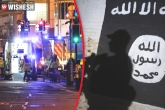 Terror Attack, ISIS, hours before manchester explosion isis supporter tweeted about attack, Explosion