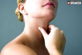 Thyroid function latest updates, Thyroid function new updates, five tips to improve your thyroid function, Function