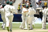 India Vs Australia match, India, second test australia takes revenge on team india, Australia cricket
