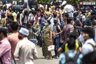 India Reports 8439 New Coronavirus Cases