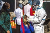 coronavirus India news, Coronavirus cases, india continued to report low new coronavirus cases, India news