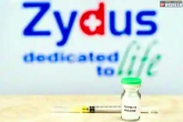 Zydus Cadila, ZyCoV-D needleless, indian government approves first coronavirus vaccine for children above 12 years, Children
