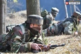 Pakistan, Ceasefire Violates, indian launches counter offensive after pak violates ceasefire, Soldier