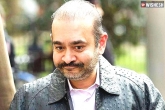 Nirav Modi, Nirav Modi extradition, interpol issues red corner notice against nirav modi s wife, Ex wife