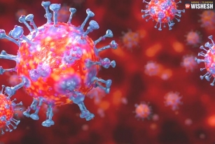 Israel Develops An Antibody That Attacks And Neutralizes Coronavirus