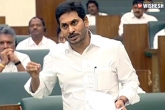 YS Jagan, YS Jagan about council YS Jagan about Legislative Council, ys jagan in plans to abolish legislative council, Cm at council