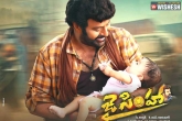 Jai Simha collections, Jai Simha next, jai simha five days collections, K s ravikumar