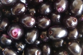 Jamun seeds latest, Jamun, here s why you should love jamun seeds, Seeds